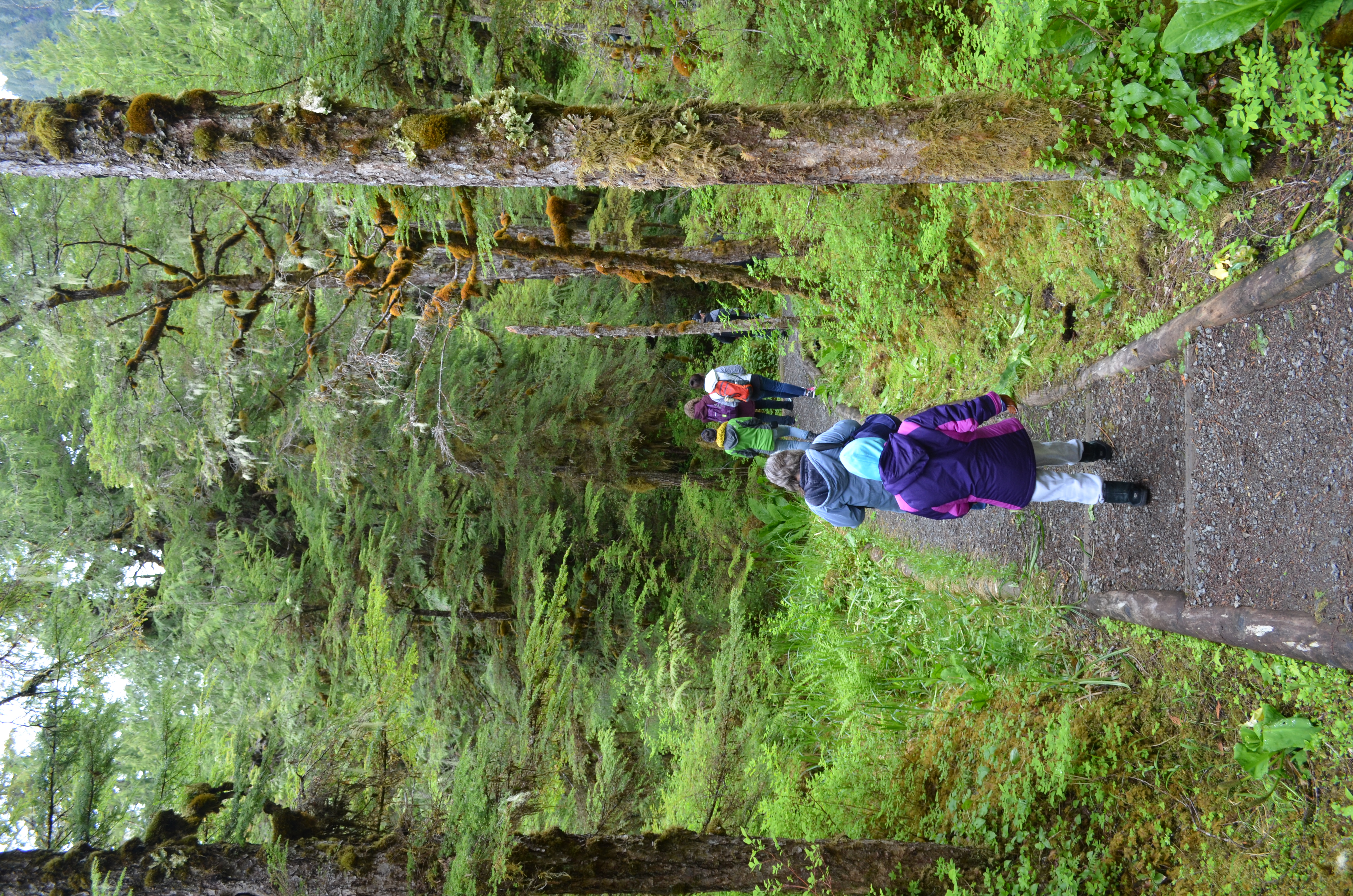 ./2017/08 - Alaska Cruise/11 - Ketchikan/DSC_0520.JPG